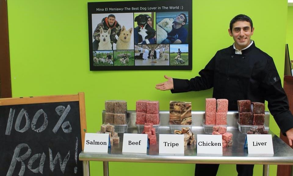 about raw dog food - Selection of raw dog food on display