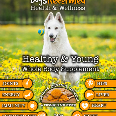 Whole Body Supplement